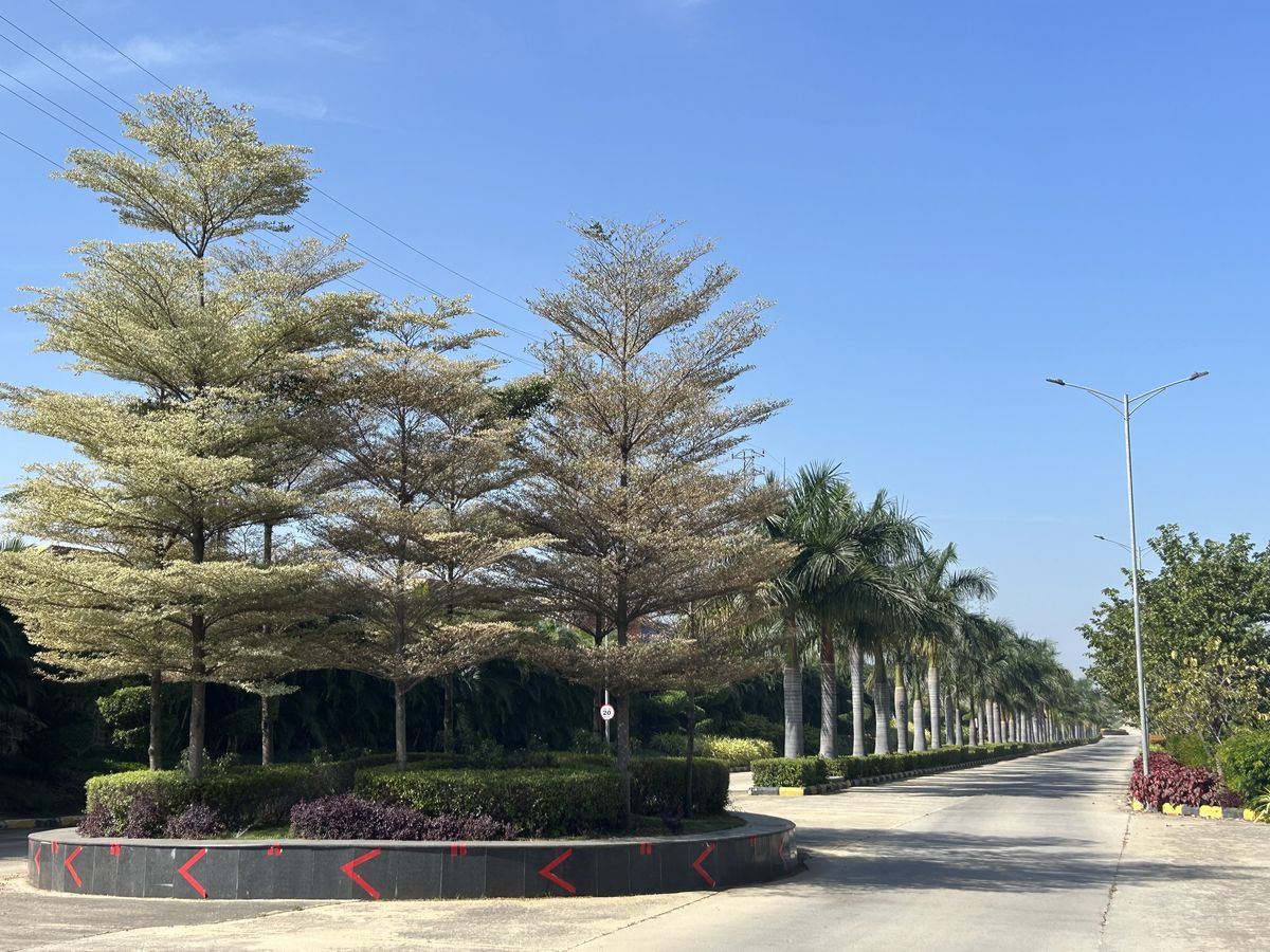 Landscape at Welspun, Hyderabad
