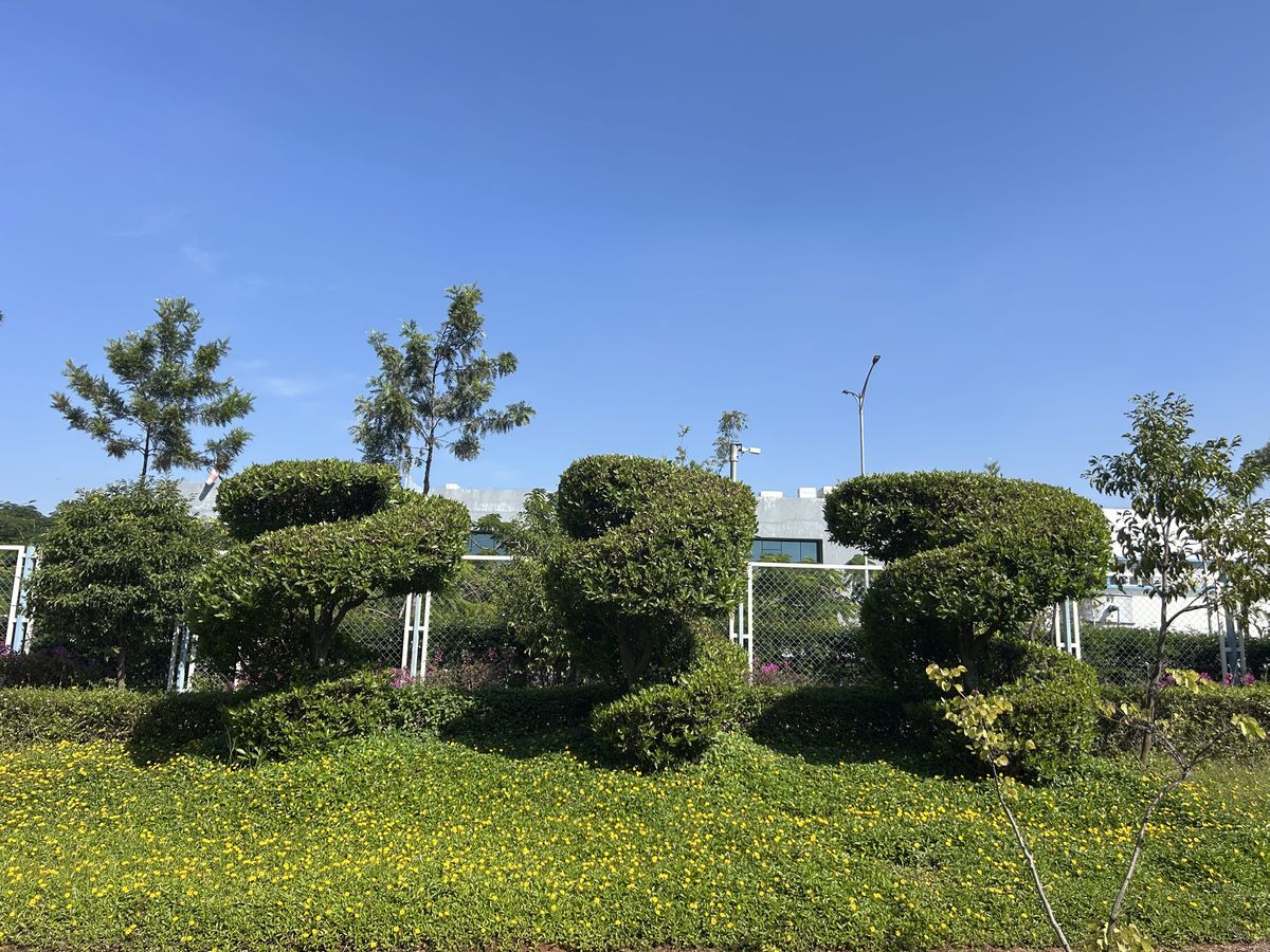 Landscape at Welspun, Hyderabad