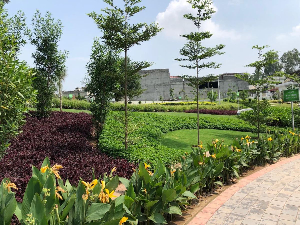 Landscape at KK Birla Park, Kathua