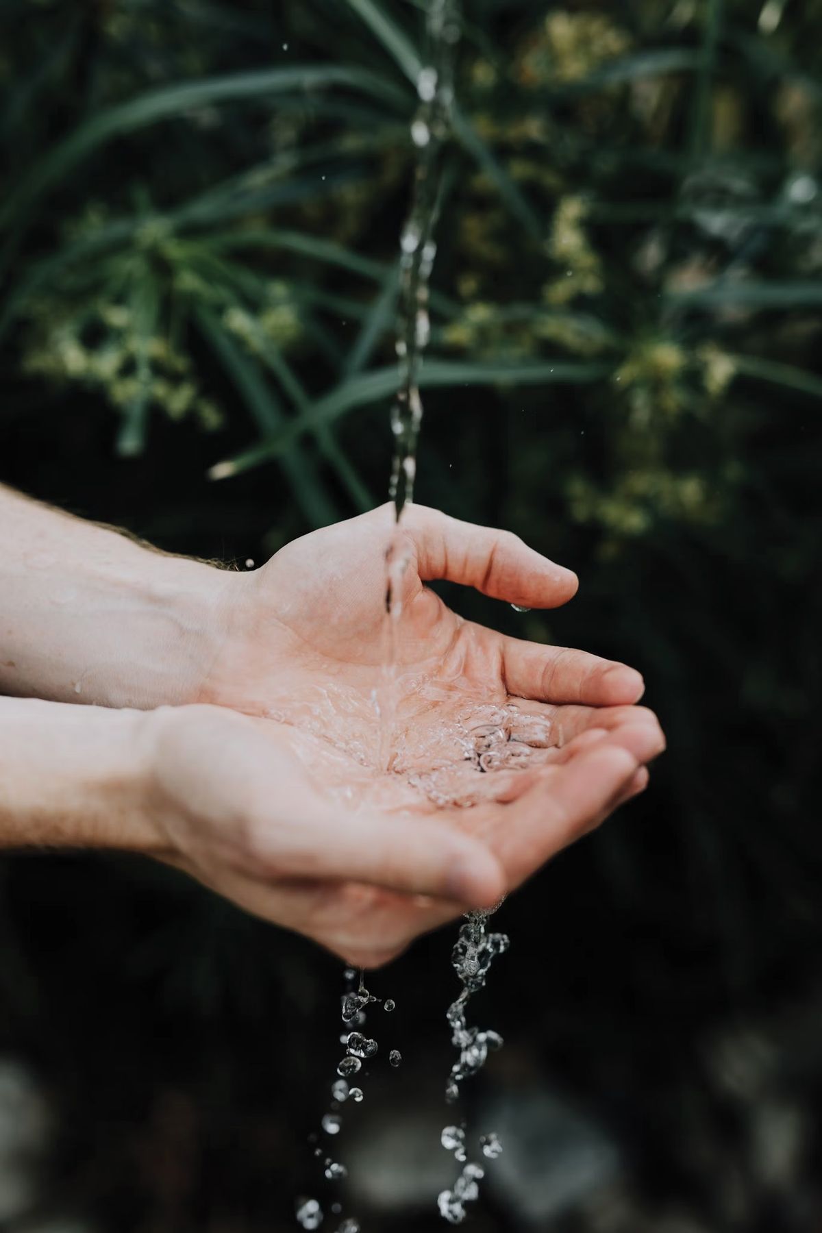 Water